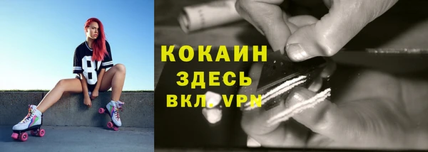 твердый Анива
